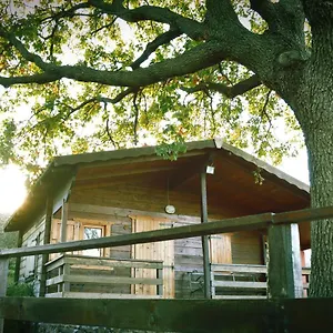 Farm stay Kikajon, Linguaglossa